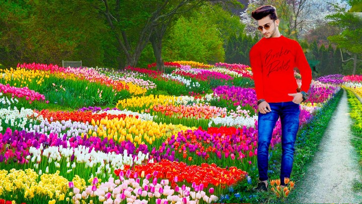 Flower Hill Photo Editor-Frame screenshot image 4_Popularmodapk.com