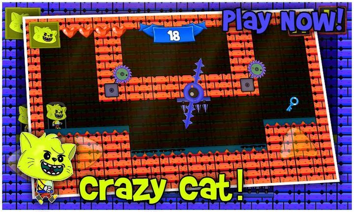 Cat Crazy Escape Adventure screenshot image 3_Popularmodapk.com
