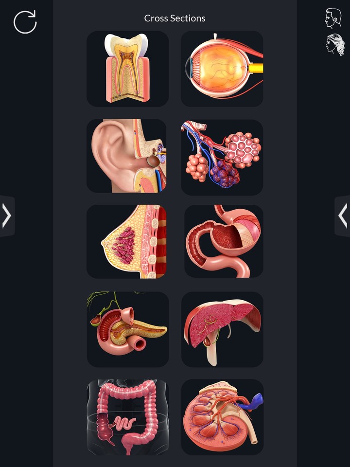 Organs Anatomy Pro. screenshot image 9_Popularmodapk.com