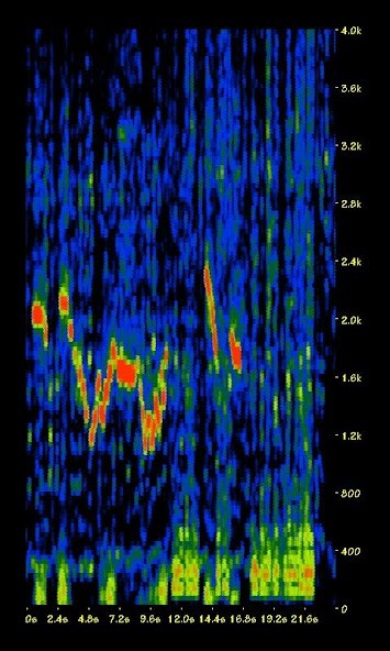 Profitability Index Calculator screenshot image 5_Popularmodapk.com