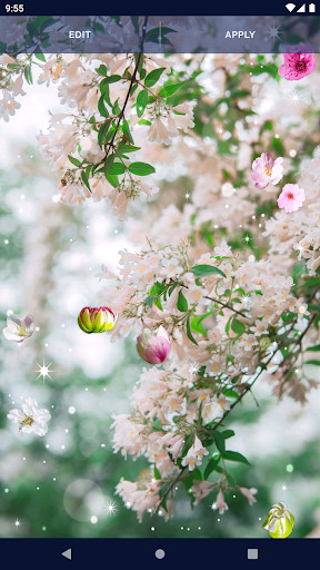 Cherry Blossom Live Wallpaper screenshot image 5_Popularmodapk.com