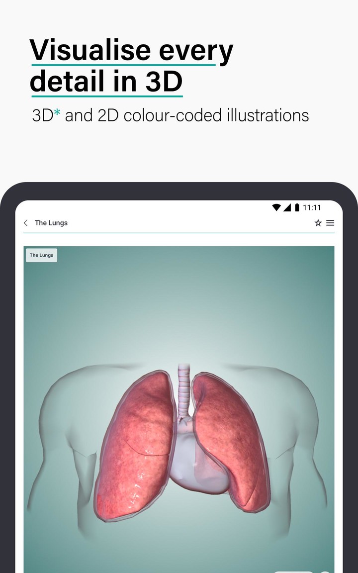 Teach Me Anatomy screenshot image 14_Popularmodapk.com