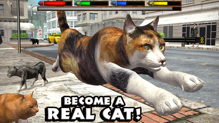 Ultimate Cat Simulator<span>(Unlimited money)</span> screenshot image 1_Popularmodapk.com