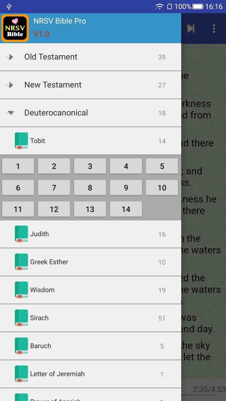 NRSV Audio Holy Bible screenshot image 7_Popularmodapk.com