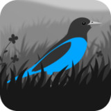 Grayland Premium(Unlock all levels)1.9.35.00011_Popularmodapk.com