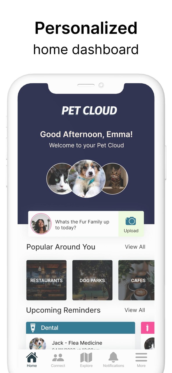 Pet Cloud screenshot image 4_Popularmodapk.com