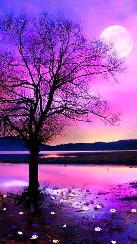 Tree Backgrounds screenshot image 17_Popularmodapk.com