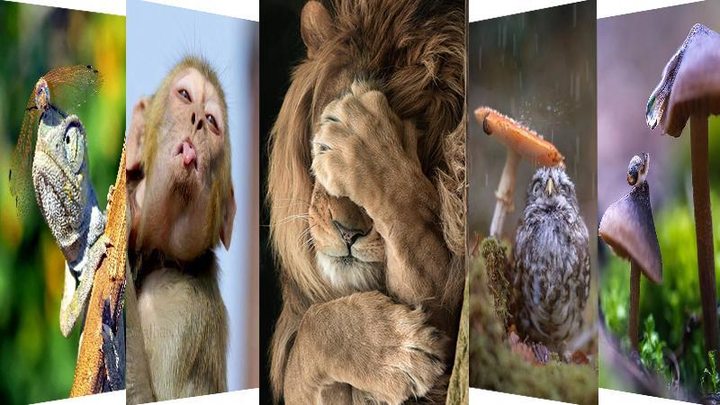 Devarattam screenshot image 13_Popularmodapk.com