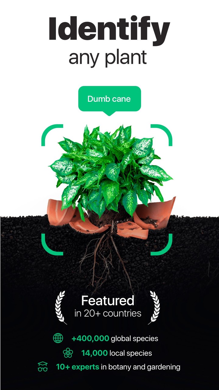 NatureID- Plant Identification screenshot image 1_Popularmodapk.com