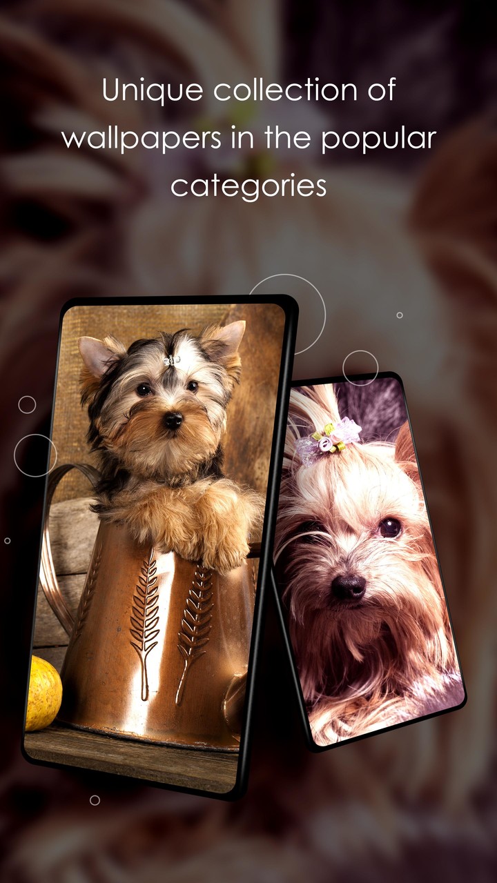 Wallpapers 4K with dogs screenshot image 1_Popularmodapk.com