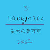 愛犬の美容室babymaro2.16.0_Popularmodapk.com