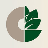 Nina's Bagels3.0.0_Popularmodapk.com