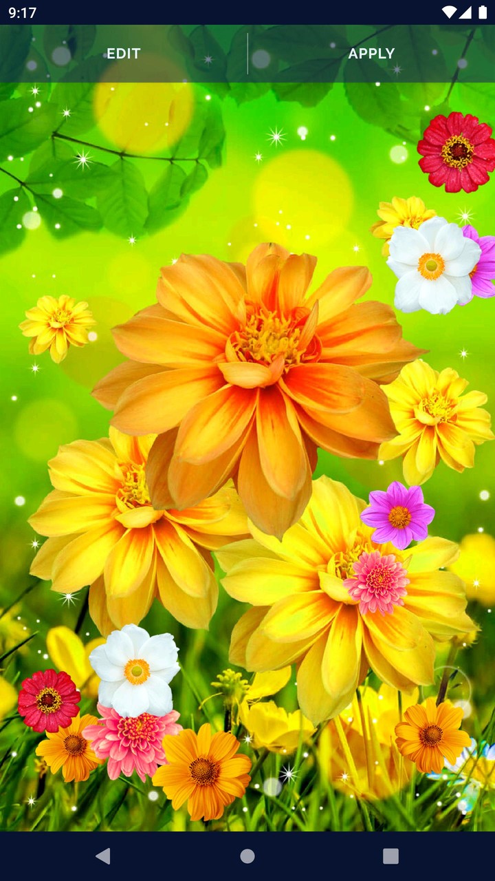 Spring Flowers Live Wallpaper screenshot image 16_Popularmodapk.com