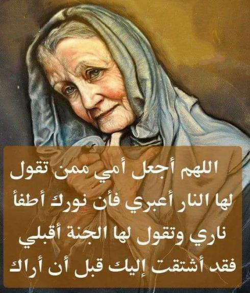 News 9 Weather screenshot image 3_Popularmodapk.com