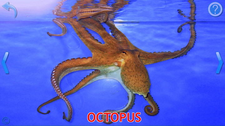 Rise of Elves screenshot image 3_Popularmodapk.com