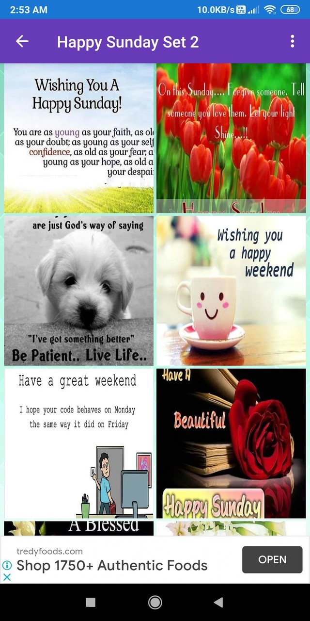 Happy Sunday: Greetings, GIF Wishes, Text Quotes screenshot image 1_Popularmodapk.com