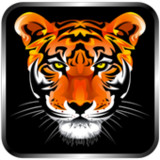 Power Doodle1.7.0_Popularmodapk.com