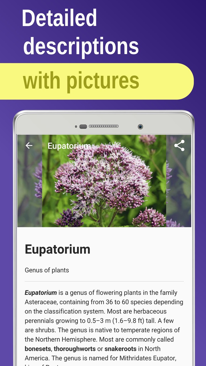 Medicinal plants & Herbs screenshot image 7_Popularmodapk.com