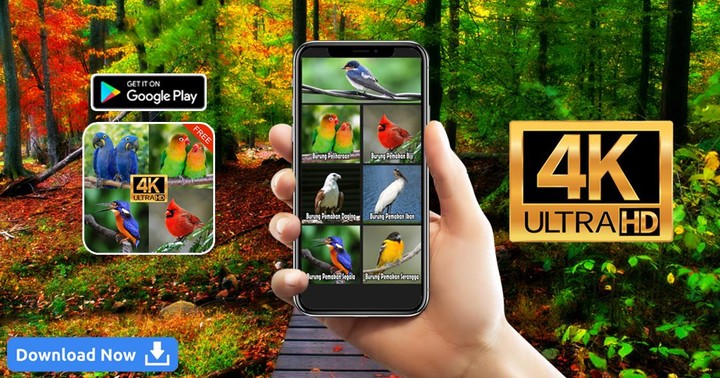 Suara Kicauan Burung screenshot image 2_Popularmodapk.com