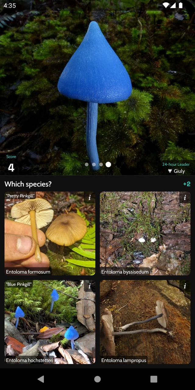 守护之境<span>(Beta)</span> screenshot image 15_Popularmodapk.com