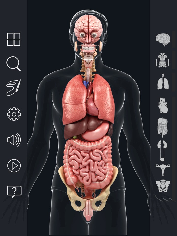 Organs Anatomy Pro. screenshot image 11_Popularmodapk.com