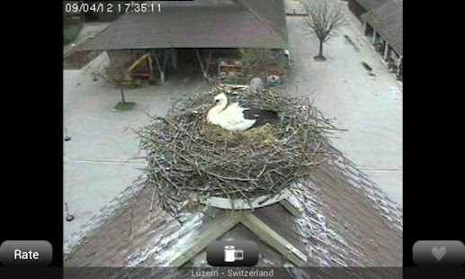 Talking Bunny screenshot image 3_Popularmodapk.com