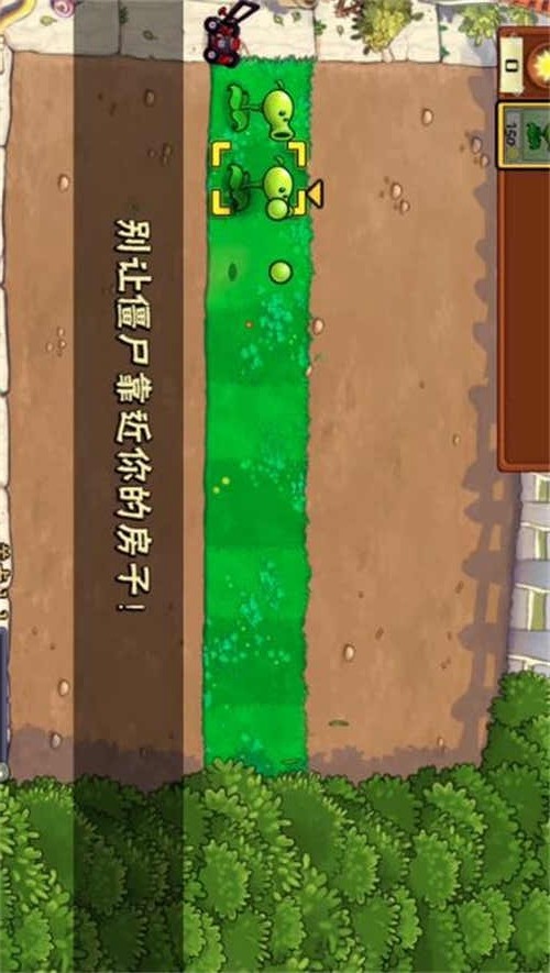 植物大战僵尸War电脑版<span>(PC)</span> screenshot image 1_Popularmodapk.com