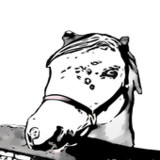 Horse Coat Colors Quiz1.12.0_Popularmodapk.com