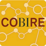 COBIRE4.107.2_Popularmodapk.com
