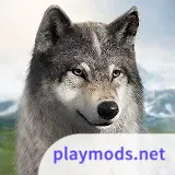 Wolf Game: Wild Animal Wars<span>(Speed change)</span>1.0.35_Popularmodapk.com