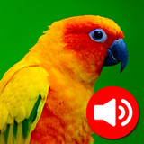 Animal Ringtones & Wallpapers1.0_Popularmodapk.com