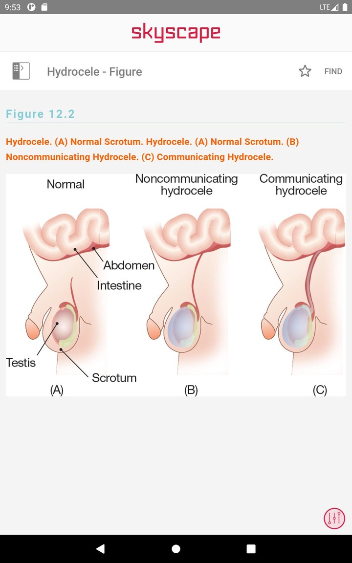 Family Practice Guidelines screenshot image 13_Popularmodapk.com
