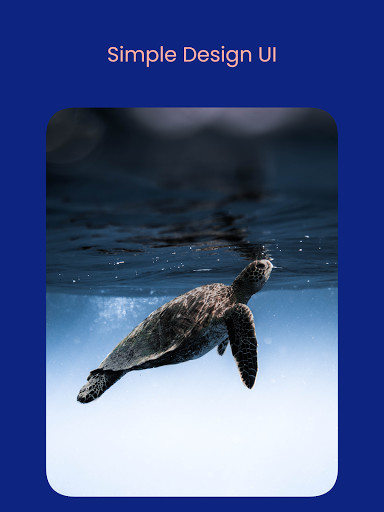 Wallpapers: Wallpaper Changer screenshot image 15_Popularmodapk.com