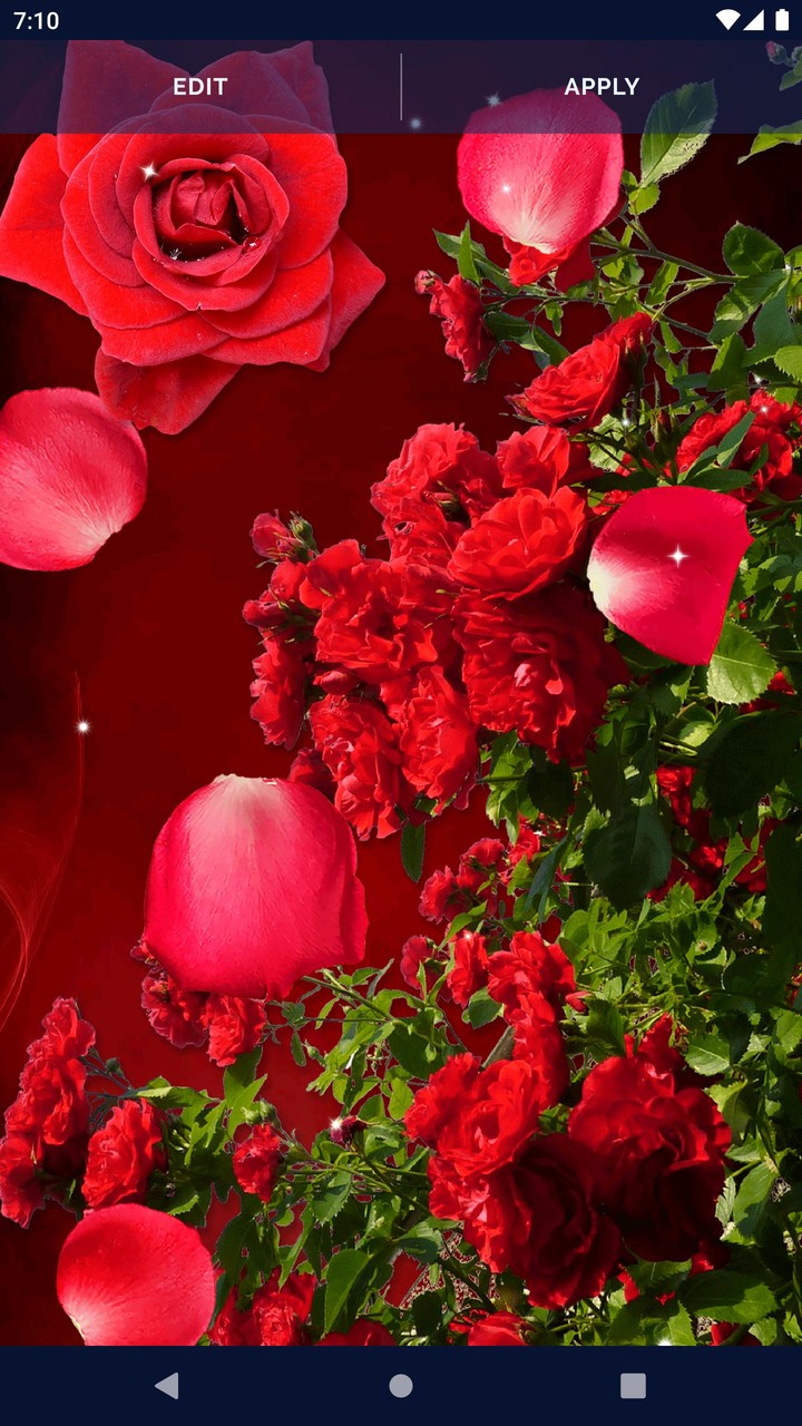3D Red Rose Live Wallpaper screenshot image 6_Popularmodapk.com