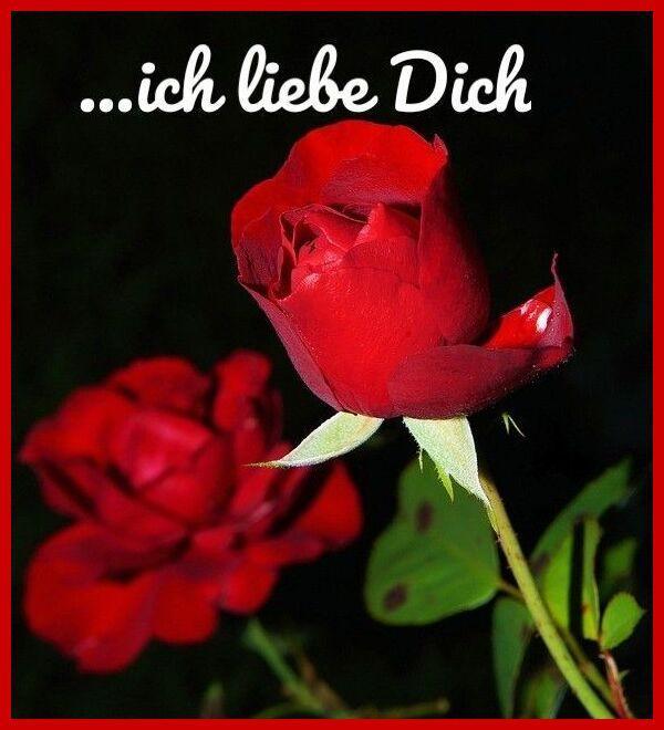 Ich Liebe Dich Bilder screenshot image 7_Popularmodapk.com