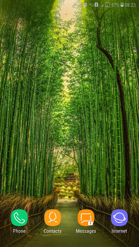 Forest Wallpaper screenshot image 30_Popularmodapk.com