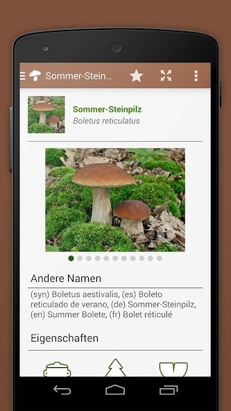 Chipmunk Sounds screenshot image 5_Popularmodapk.com