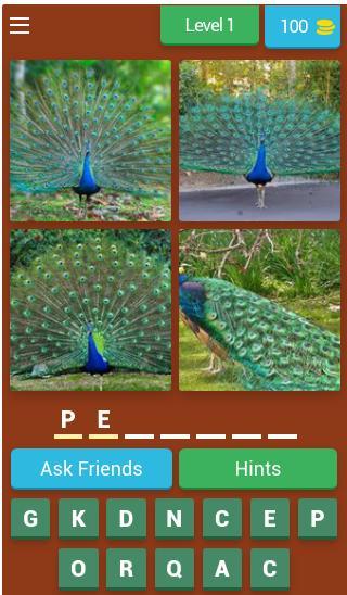 Birds Quiz screenshot image 1_Popularmodapk.com