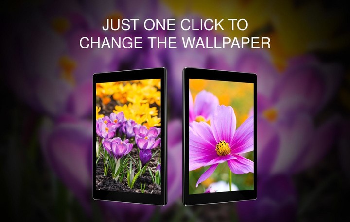 BMX Space<span>(Unlimited money)</span> screenshot image 17_Popularmodapk.com