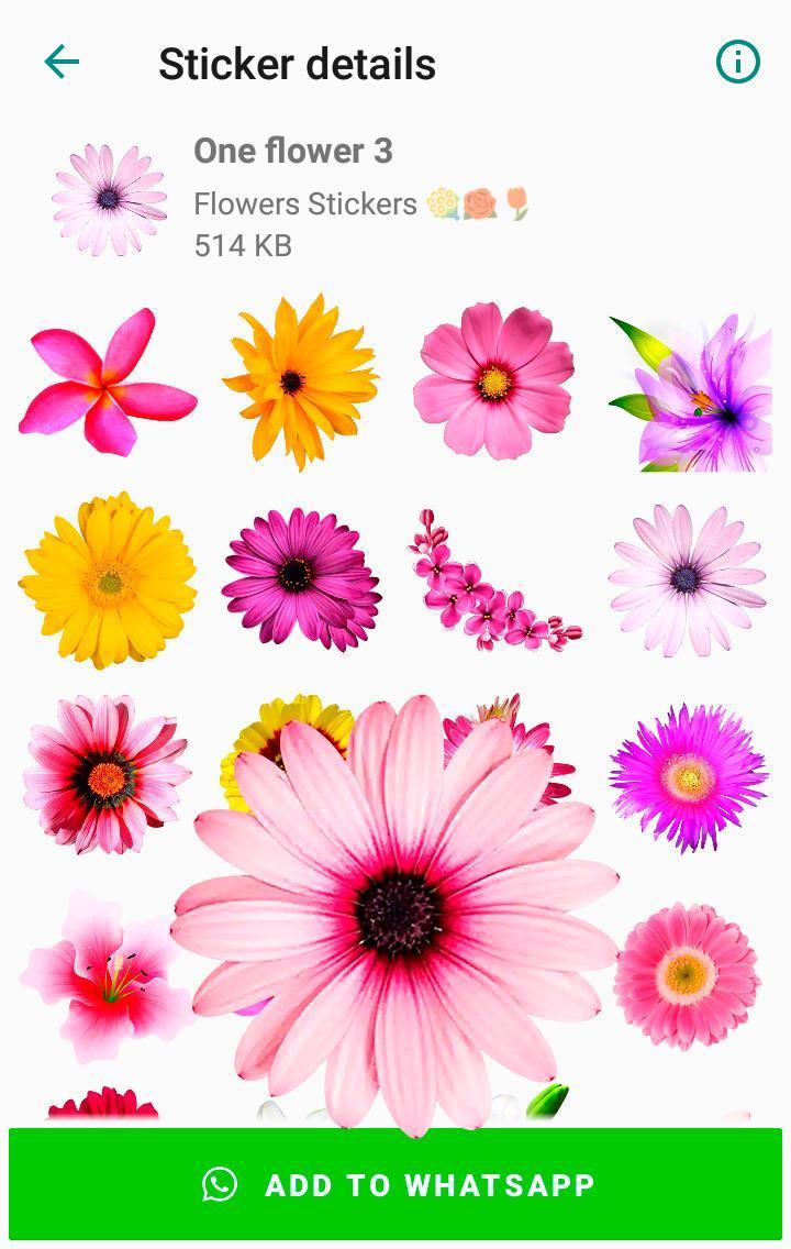 Cartoon Princess WAstickerApps screenshot image 12_Popularmodapk.com