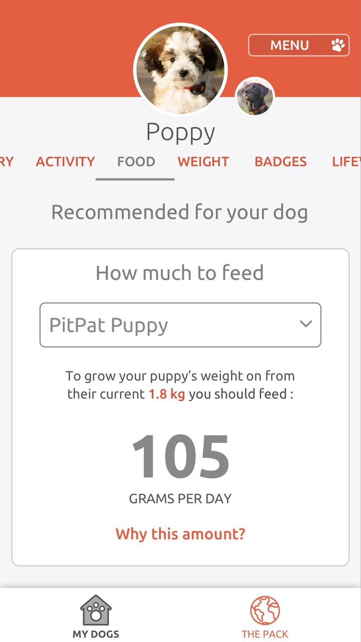 PitPat screenshot image 4_Popularmodapk.com