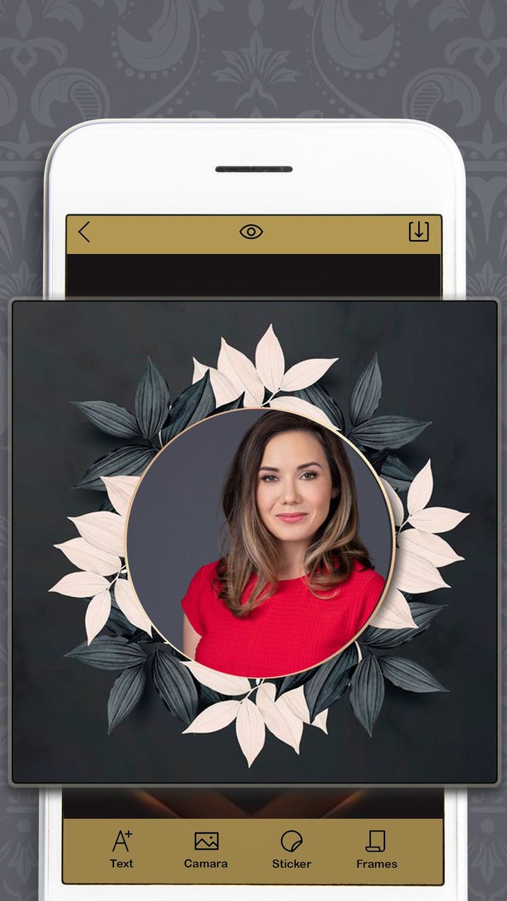 Royal Photo Editor and Frames screenshot image 5_Popularmodapk.com