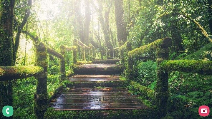 Nature Wallpaper Backgrounds screenshot image 7_Popularmodapk.com