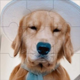 Dog Jigsaw Puzzle0.1.2_Popularmodapk.com