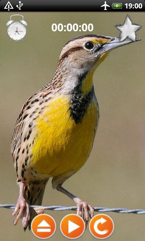 Birds Calls Sounds screenshot image 1_Popularmodapk.com