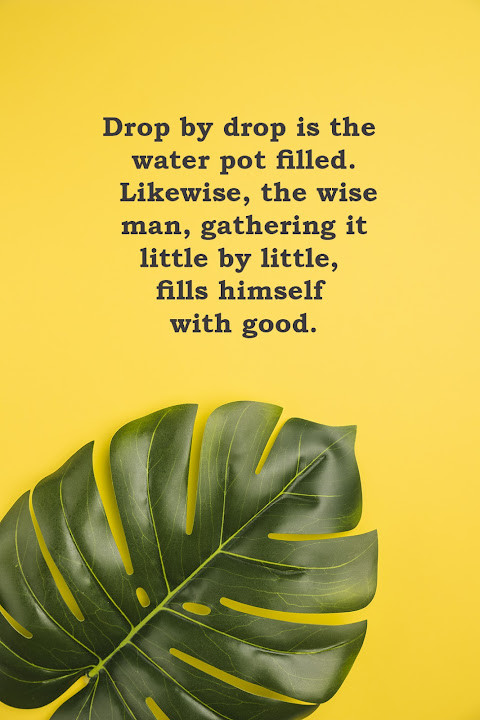 Powerful Buddha Quotes screenshot image 3_Popularmodapk.com