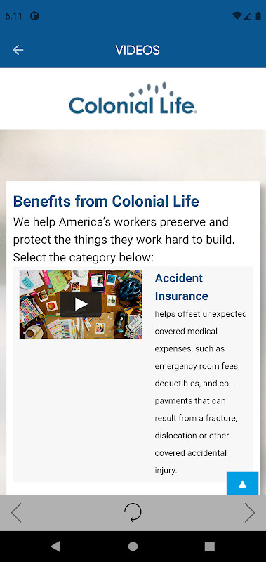 Zoo Tycoon Craft: My Wonder Animals<span>(Mod APK Unlocked)</span> screenshot image 6_Popularmodapk.com