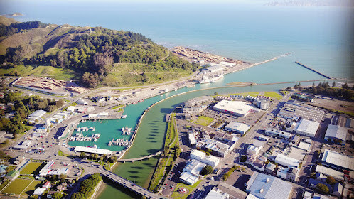 StorySave<span>(Mod APK)</span> screenshot image 3_Popularmodapk.com