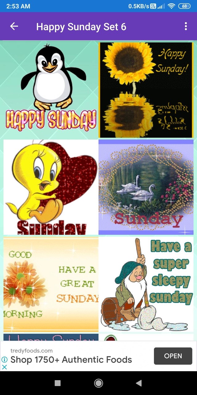 Happy Sunday: Greetings, GIF Wishes, Text Quotes screenshot image 7_Popularmodapk.com
