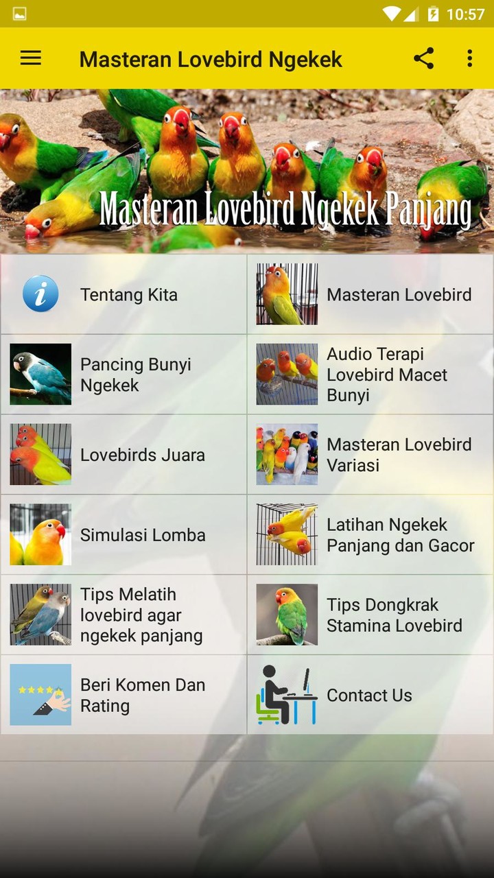 Masteran Lovebird Ngekek screenshot image 2_Popularmodapk.com